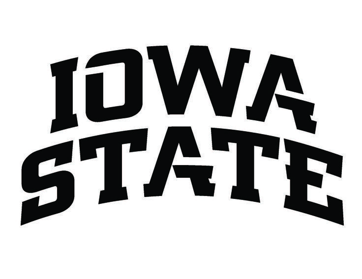 Black and White Hawkeye Logo - Free Iowa Hawkeye Stencil, Download Free Clip Art, Free Clip Art