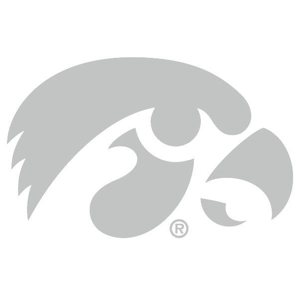 Black and White Hawkeye Logo - Iowa Hawkeyes Chrome Tiger Hawk Decal