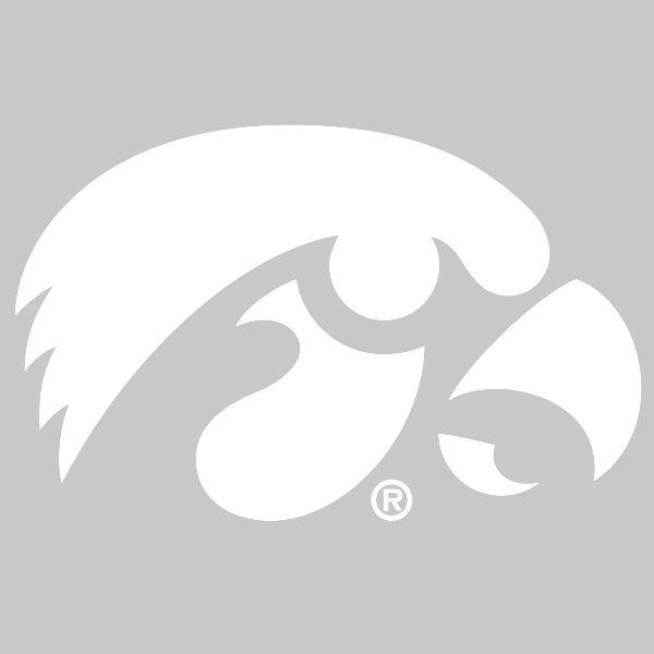 Black and White Hawkeye Logo - Iowa Hawkeyes Tiger Hawk Decal
