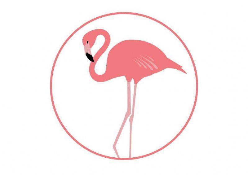 Flamingo Clothing Logo - Beach Flamingo, Maidstone | 2 reviews | Swimwear Shop - FreeIndex