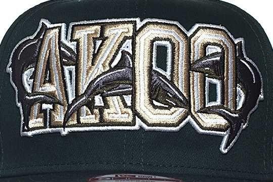 AKOO Clothing Logo - √ Akoo Big Fish Back Hat. Tis Akoo Clothing Line