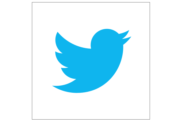 Official Twitter Logo - Are You Using the Twitter Logo Wrong? | GoInkscape!