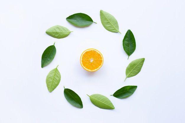 Green Leaf with Orange Circle Logo - Orange with green leaves circle on white background. Photo | Premium ...