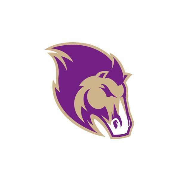 Mustang Mascot Logo - Central Arkansas Christian Mustangs Concept Logo by Eric Pickett on ...