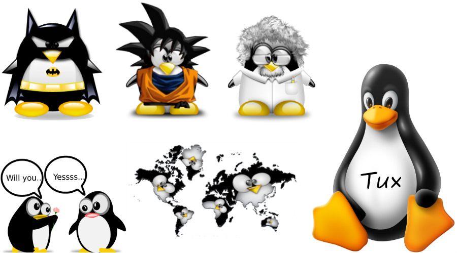 Linux Penguin Logo - Why Is The Penguin Tux Official Mascot of Linux? Because Torvalds ...