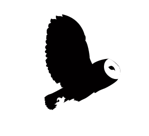 Cool Owl Logo - MakeMind Logo design commentary