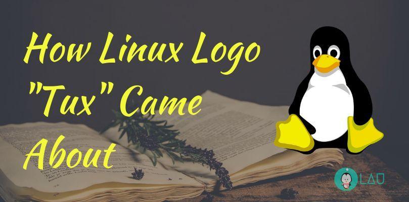 Linux Penguin Logo - How Linux Logo 
