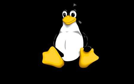 Linux Penguin Logo - Linux Logo (Penguin) & Technology Background Wallpaper