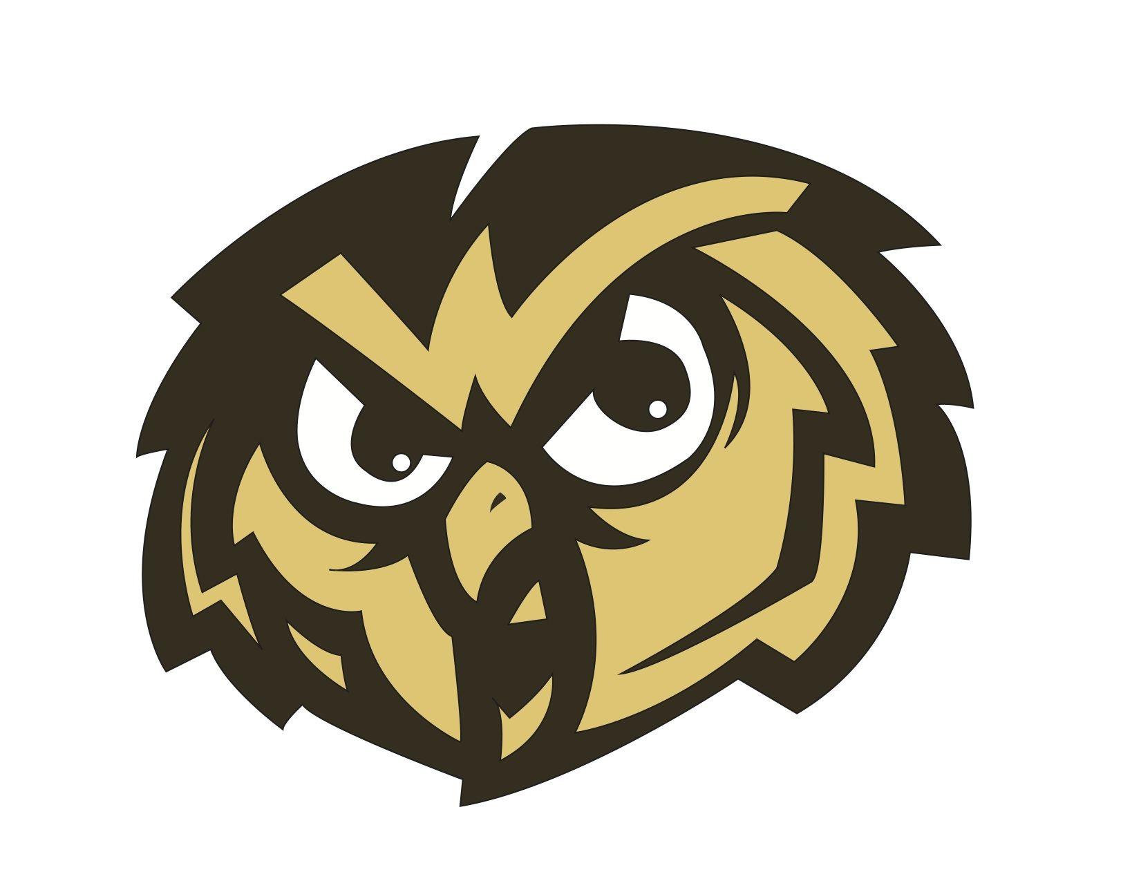 Cool Owl Logo - Senior High School | * Girls' Soccer