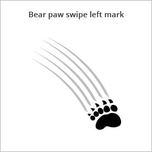 The Bear Paw Logo - Logos Toolbox of Maine