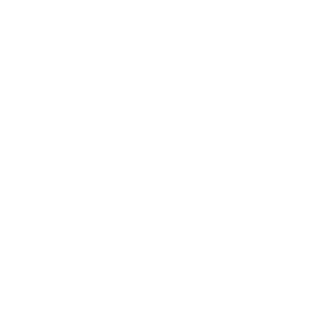 Cross with White Globe Logo - Fluxtrol