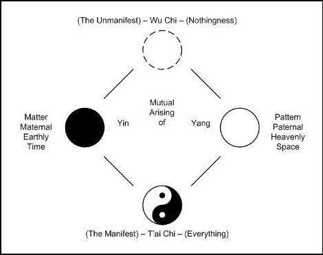 Black White Circle in Circle Logo - Yin Yang