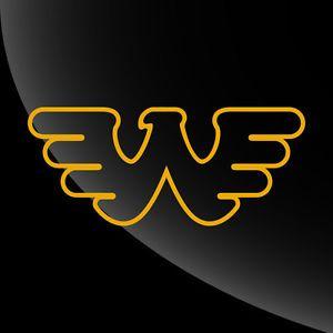 Waylon Jennings Logo - Waylon Jennings Flying W Outline Decal Sticker COLORS SIZES