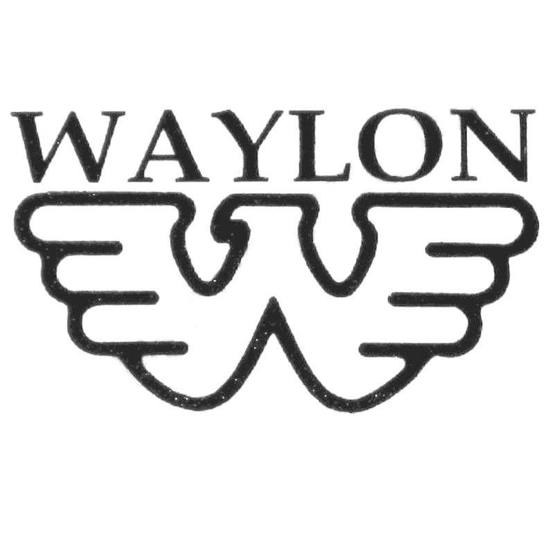 Waylon Jennings Logo - Waylon Jennings Headstock Waterslide Decal