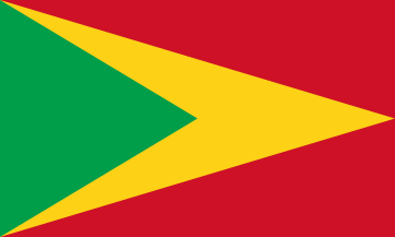 Red Triangle Flag Logo - Guyana