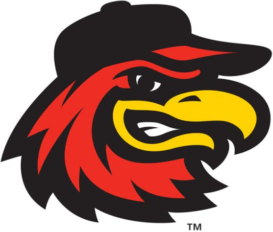 Rochester Red Wings Logo - Rochester Red Wings Alternate Logo - International League (IL ...