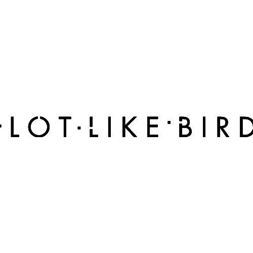 The Birds Band Logo - A Lot Like Birds Band Logo Vinyl Decal
