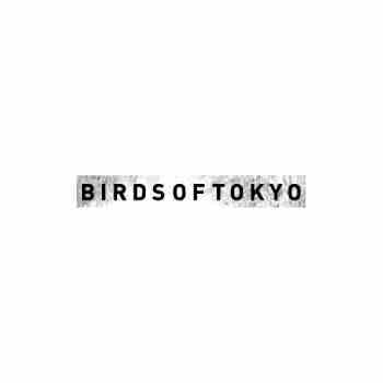 The Birds Band Logo - Birds Of Tokyo Rock Band Logo Decal