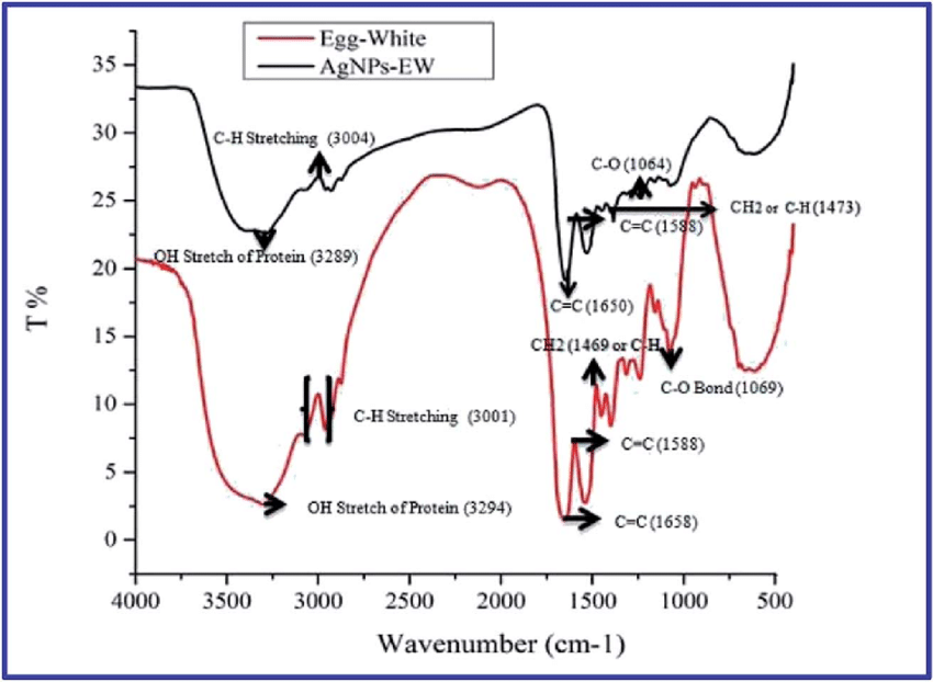 Egg White and Red Logo - FTIR Spectra Showing Egg White In Red Colour And AgNPs EW In Black