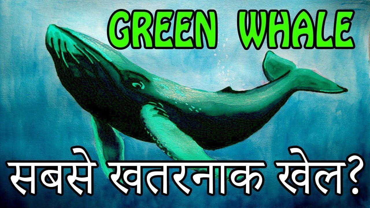 Green and Blue Whale Logo - सबसे खतरनाक खेल? Green Whale Game Challenge Blue Whale