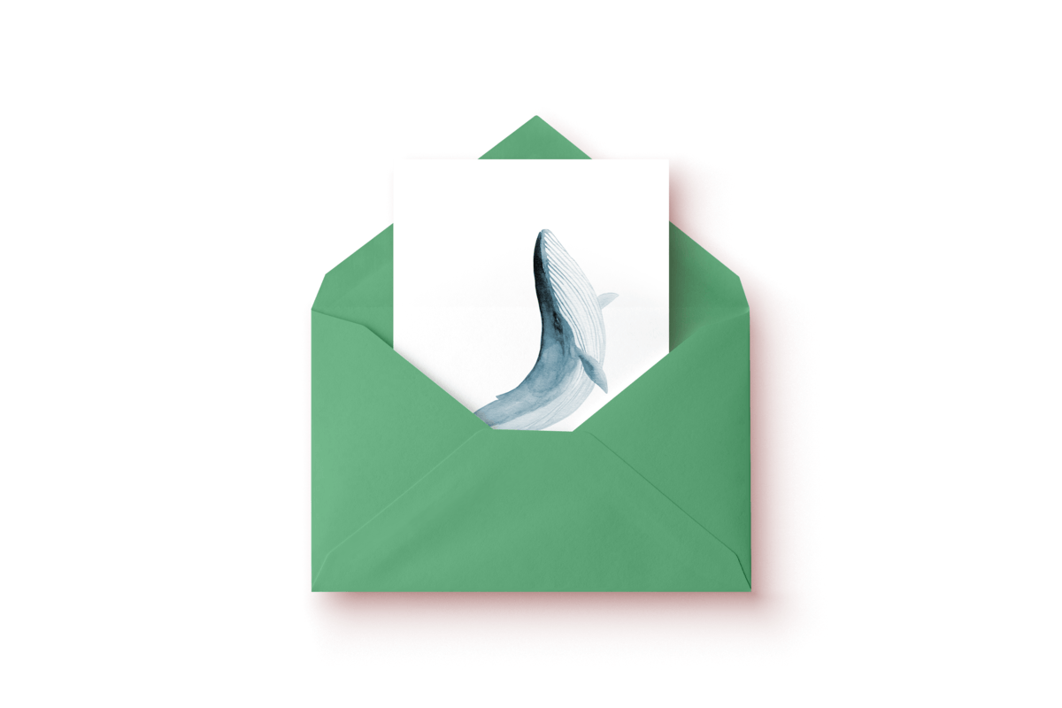 Green and Blue Whale Logo - Blue Whale' Note Card - Oevaali Art Shop