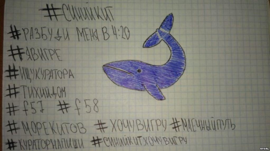 Green and Blue Whale Logo - Teen 'Suicide Games' Send Shudders Through Russian-Speaking World