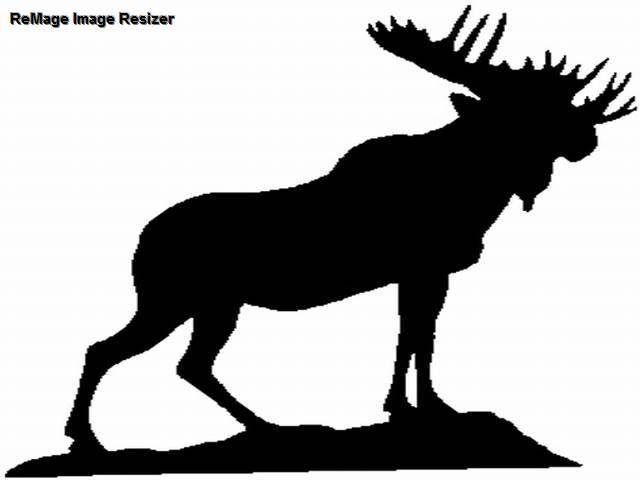 Moose Legion Logo - Satellite Beach Moose Lodge 2367/WOTM Chapter 1983 Photo Album
