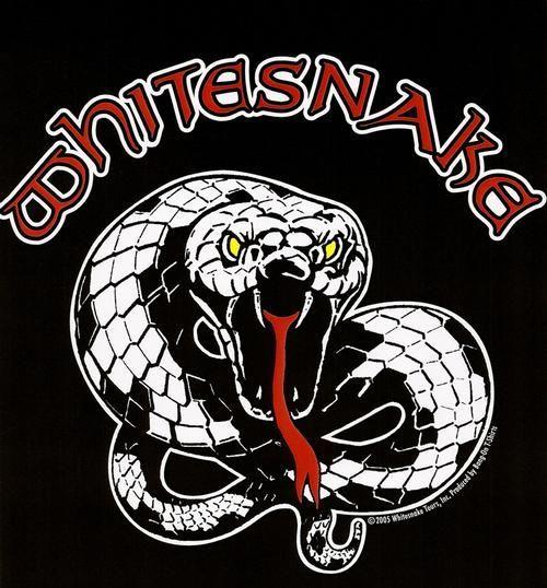 Whitesnake Logo - www.brokencherry.com #customapparel #customtshirts #tshirts ...