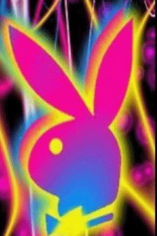 Colorful Rabbit Logo - Bright colored bunny. Playboy Bunny Items. Playboy