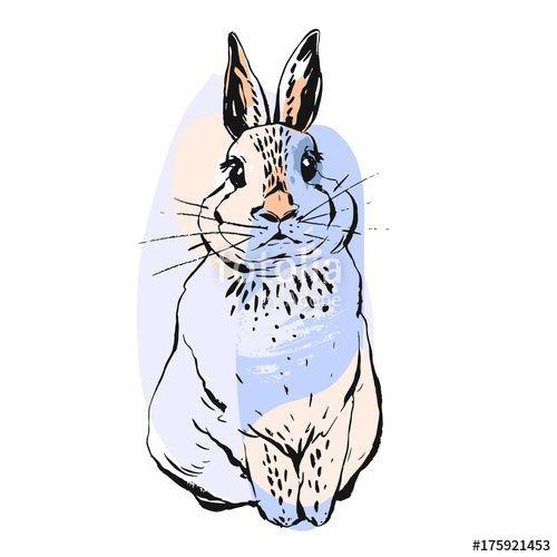 Colorful Rabbit Logo - Hand drawn vector abstract realistic drawing bunny illustration