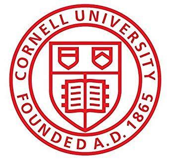 Cornell Logo - Amazon.com: Cornell University Bumper Sticker | 7 Sizes Logo Car ...