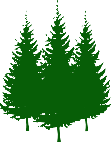 Evergreen Tree Logo - Tree Pruning – Herfords Tree Care, Inc.