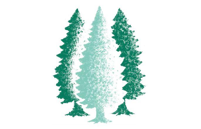 Evergreen Tree Logo - Brand and Web Communication Design | Ten Trees Down to Earth Design ...