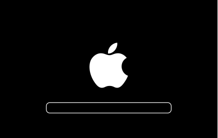 Black Mac Logo - About the screens your Mac displays as it starts up - Apple Support