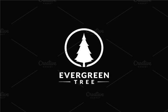 Evergreen Tree Logo - Cedar Spruce Evergreen Pine Logo ~ Logo Templates ~ Creative Market