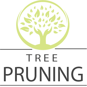 Evergreen Tree Logo - Evergreen Tree Care