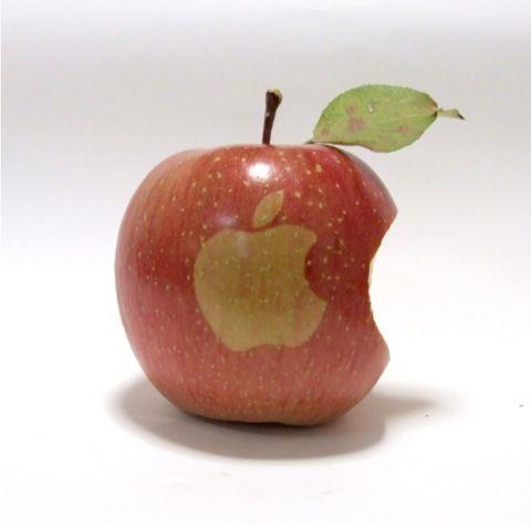 Real Apple Logo - Munch On Real Apples Branded With The 'Apple' Logo.com