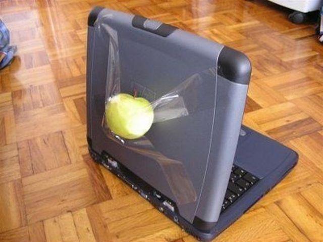 Real Apple Logo - Just for fun pic: The Real Apple Logo