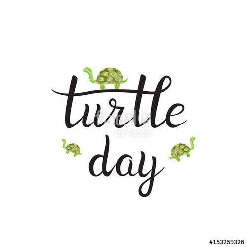 Cute Turtle Logo - Vector isolated handwritten lettering Turtle Day and cute turtles on ...