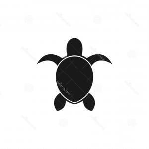 Cute Turtle Logo - Cute Turtle Cartoon Running Gm | SOIDERGI