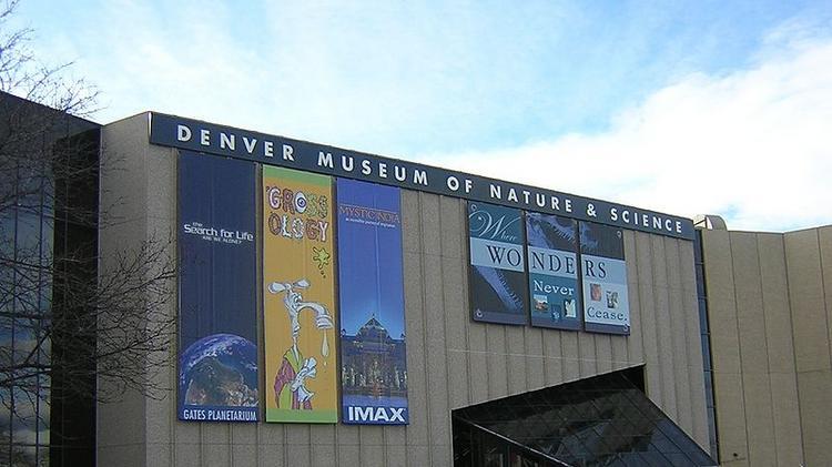 Denver Museum of Nature and Science Logo - Museum of Nature and Science gun controversy - Denver Business Journal