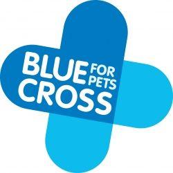 Horse Cross Logo - Who Are The Blue Cross. The Pony Club