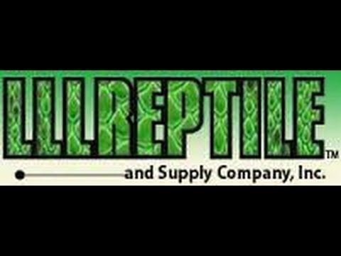 LLLReptile Logo - LLL reptile unboxing - YouTube