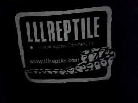 LLLReptile Logo - my new lll reptile T - YouTube