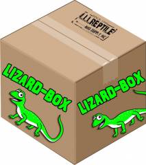 LLLReptile Logo - Reptile Supplies and Live Reptiles - LLLReptile