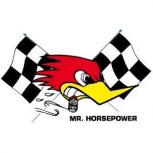 Horsepower Logo - Mr. Horsepower Checkered Flag Small Decal