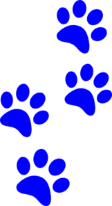 blue panther paw