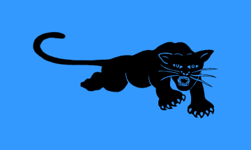 Blue and Black Panther Logo - Black Panthers Party (U.S.)