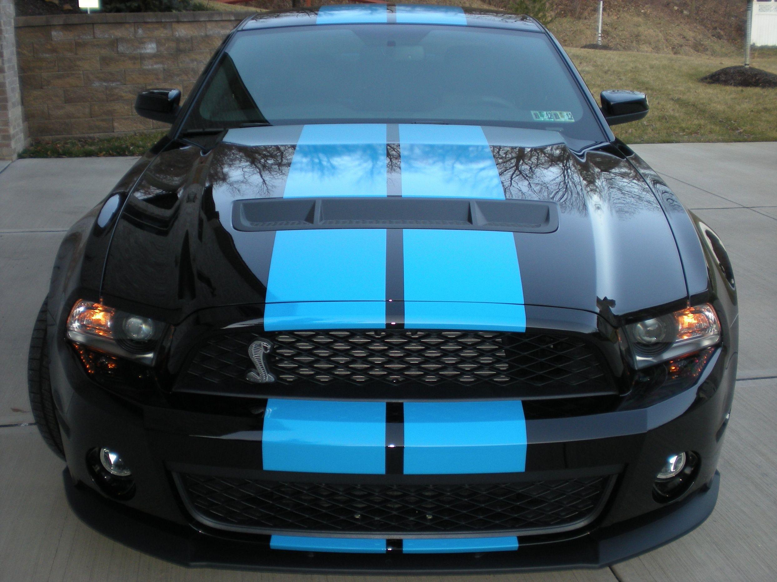 Blue and Black GT Logo - PS: Black Gt/Boss with Grabber Blue. Thoughts? - The Mustang Source ...