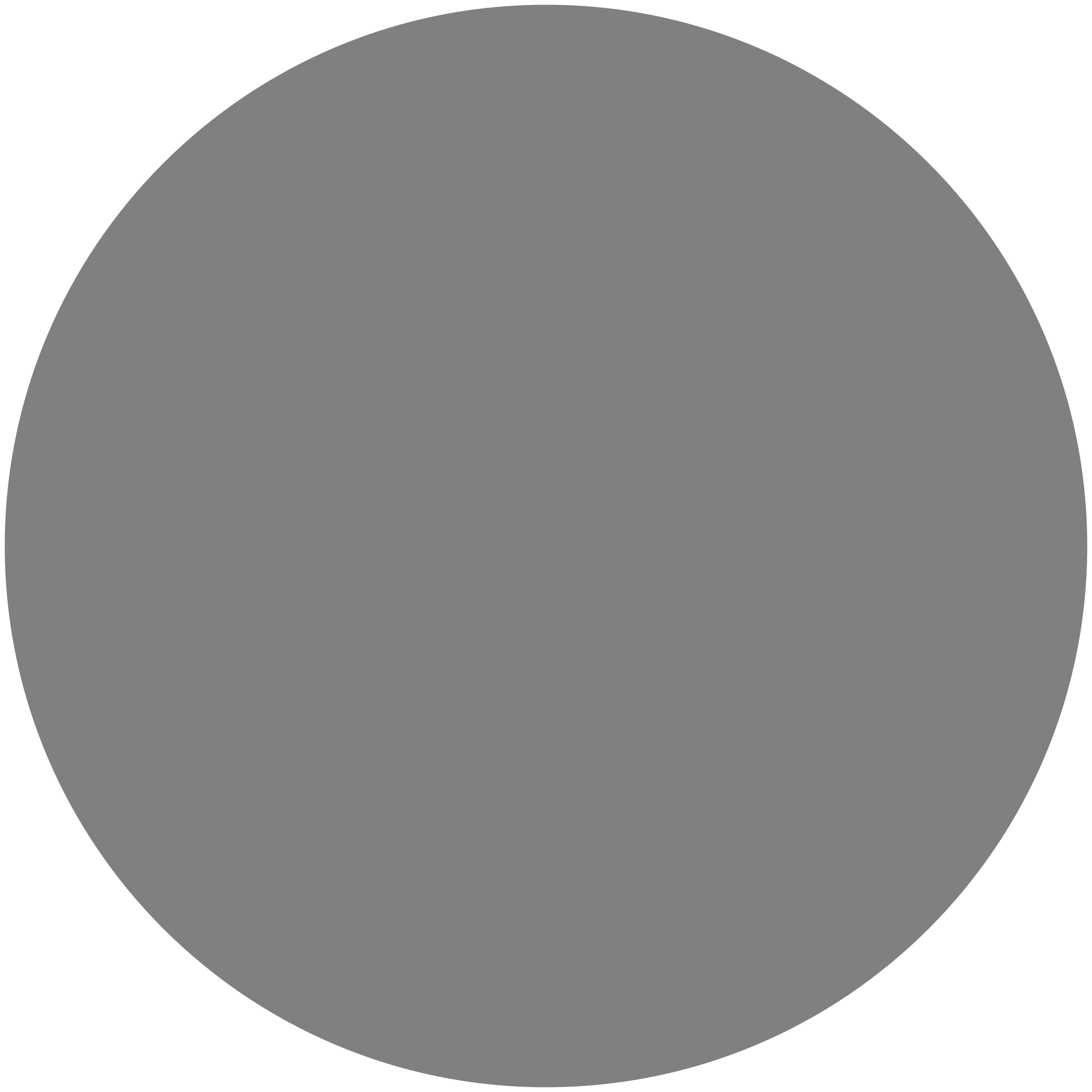 Gray Circle Logo - Disc Plain grey.svg